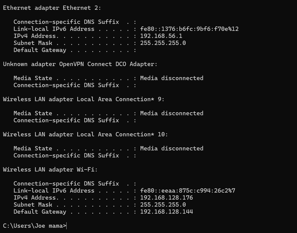 ipconfig output showing IPv4 address